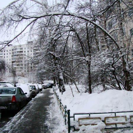 My penguin shuffle through Moscow’s snow covered streets