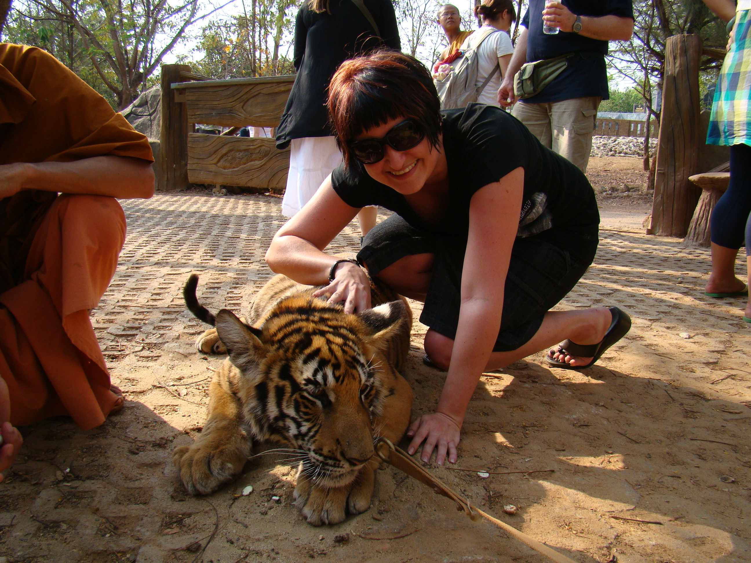 Me and tigers in Thailand