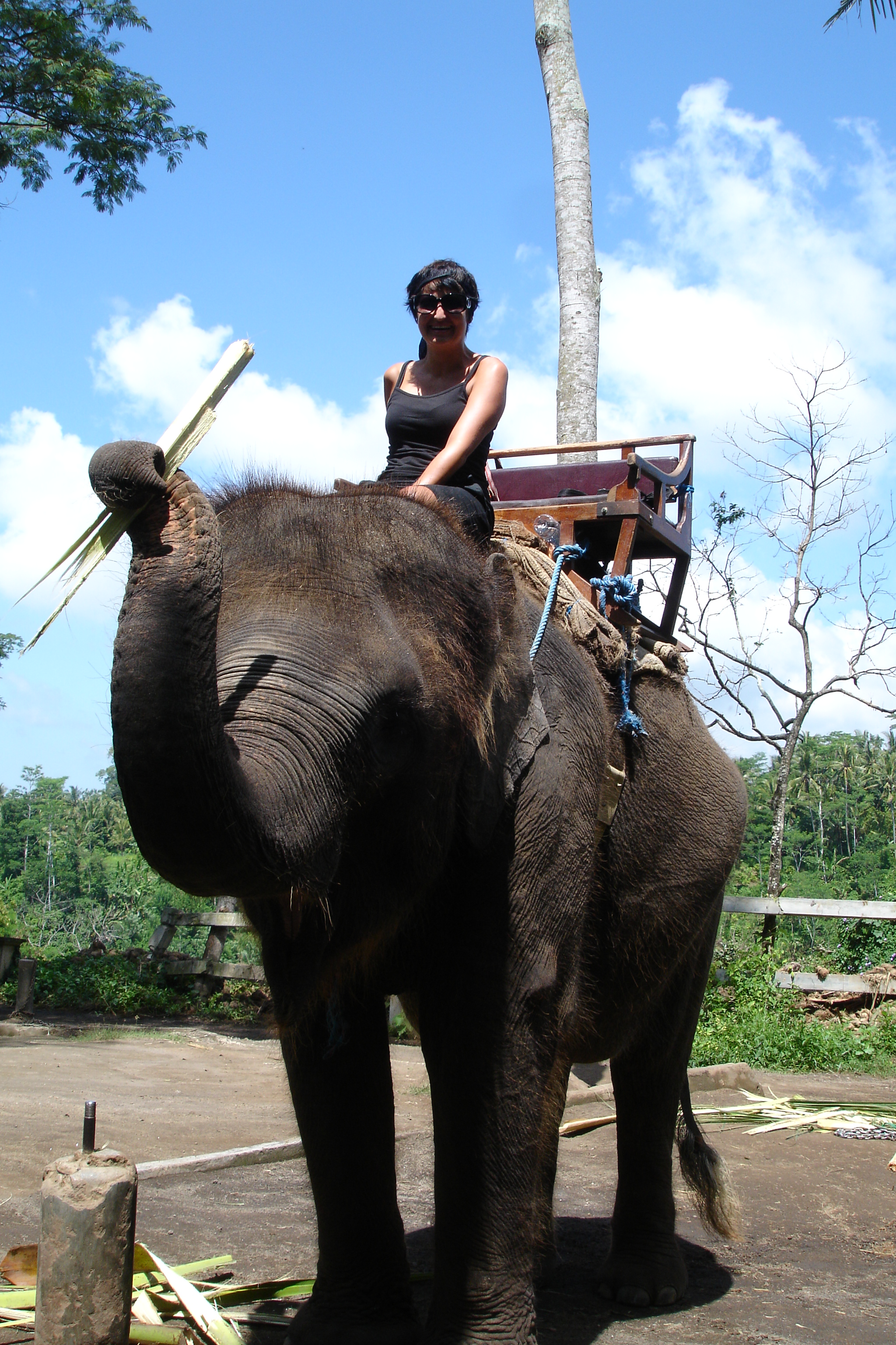 Me riding an Elephant in Bali