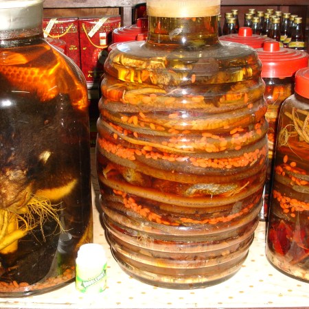 Ho Chi Minh City, Vietnam