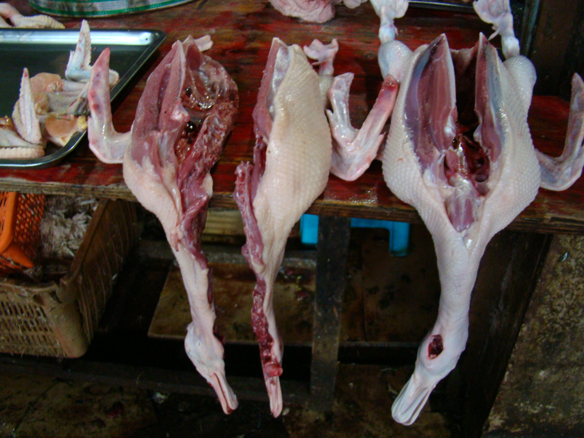 Squirming eels, frogs, snails and even skinned dogs at Yangshuo wet market