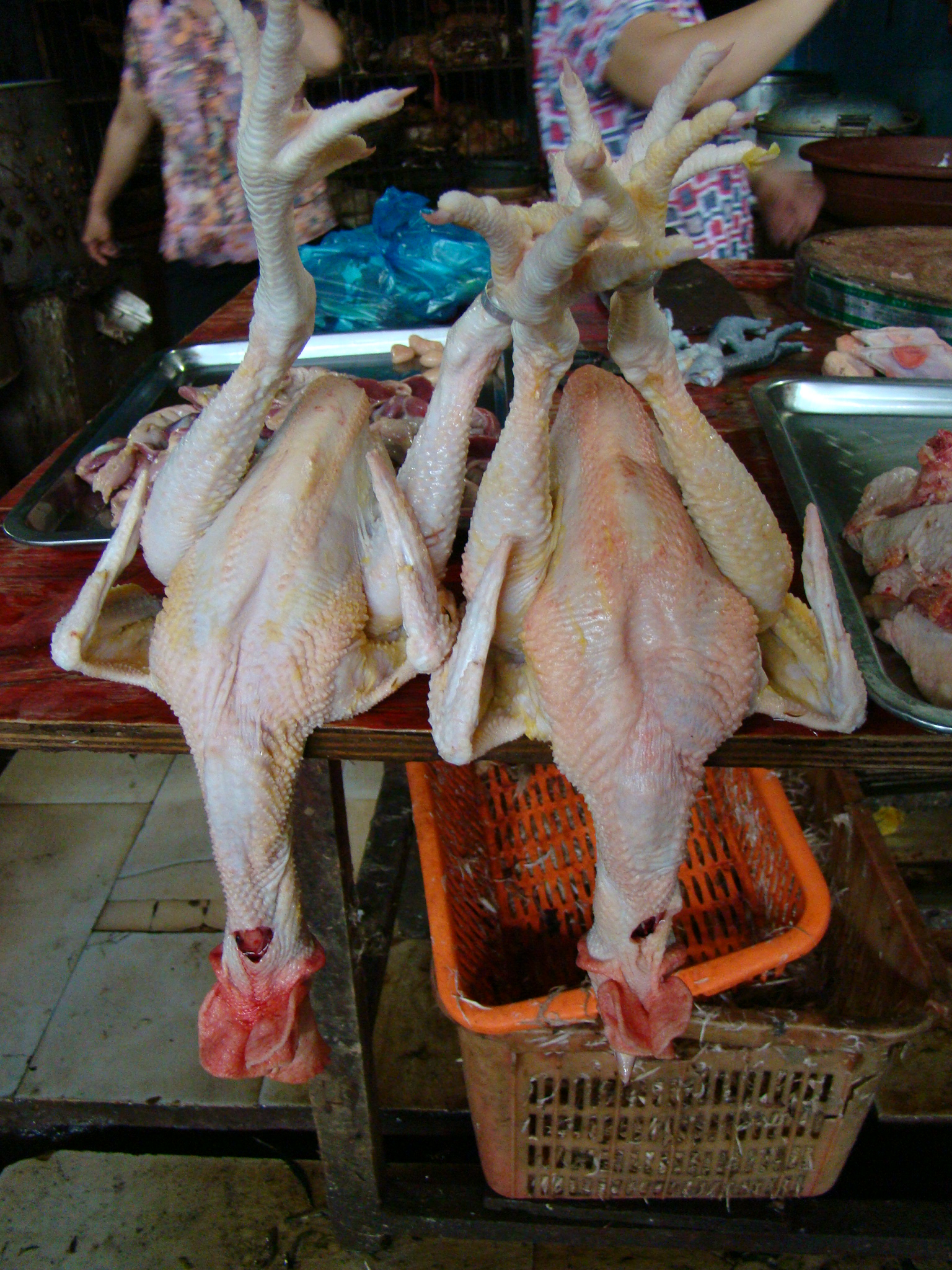Squirming eels, frogs, snails and even skinned dogs at Yangshuo wet market