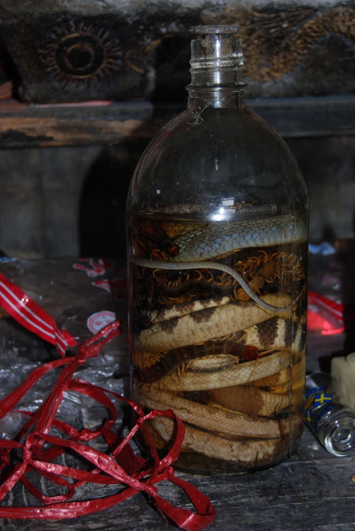 Are you brave enough to drink this snake wine? 