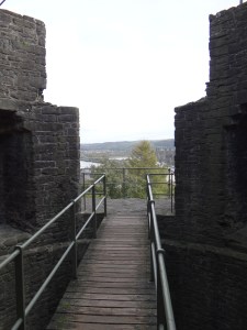 Wooden walkways cross the towers