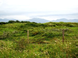 The striking Anglesey countryside