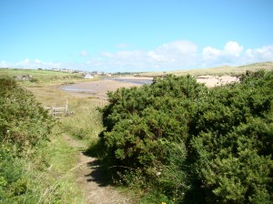 Looking back at the river