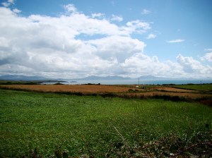 Aberffraw countryside