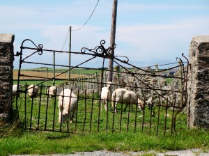 Aberffraw countryside