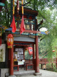 Artisan captured at work