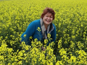 Rapeseed Flowers of England