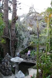 The Crazy House of Vietnam