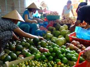 The colourful Markets of Vietnam