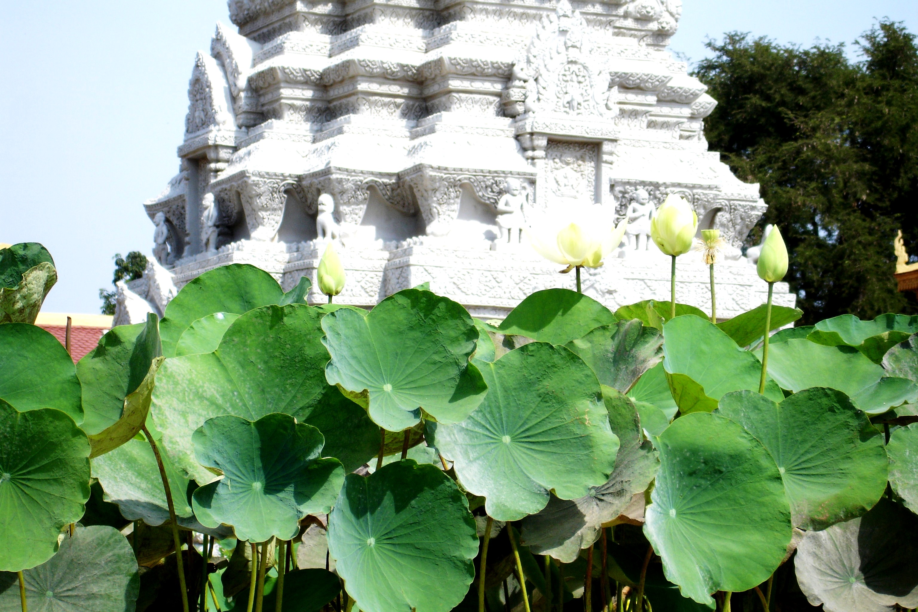 Phnom Pehn, city of Genocide, Temples and Palaces.