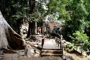 The Jungle Reclaims Beng Melea Temple