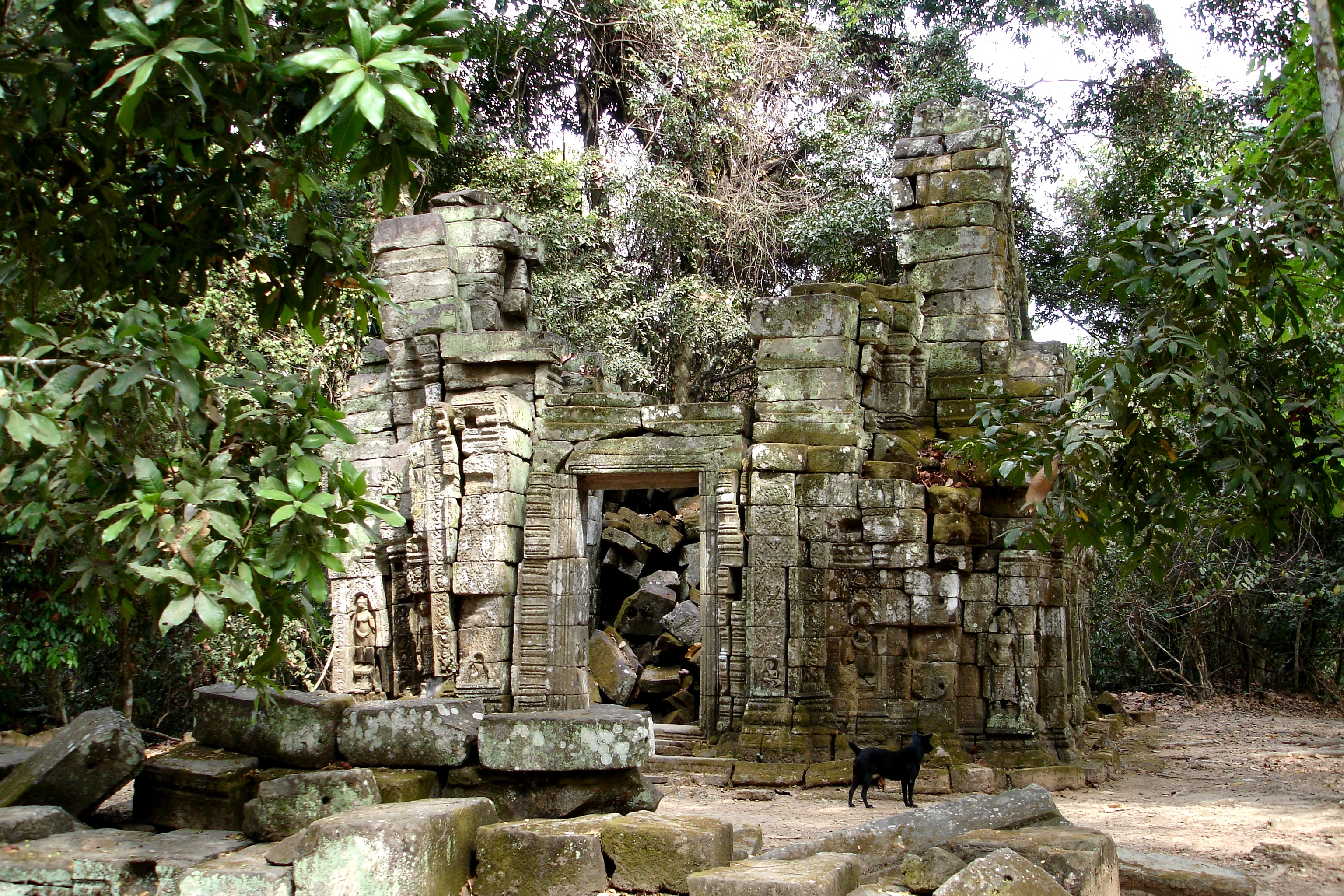 Tree Root shroud Ta Prohm Temple