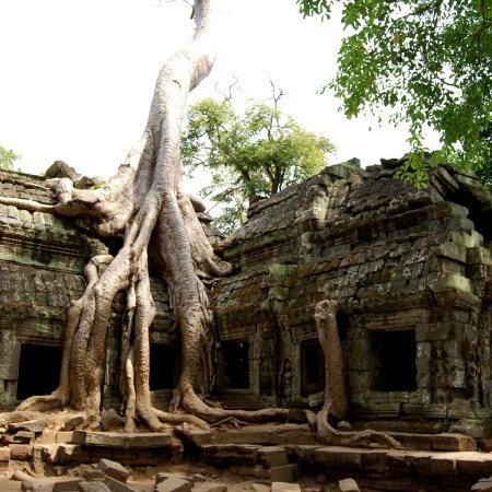Ta Prohm