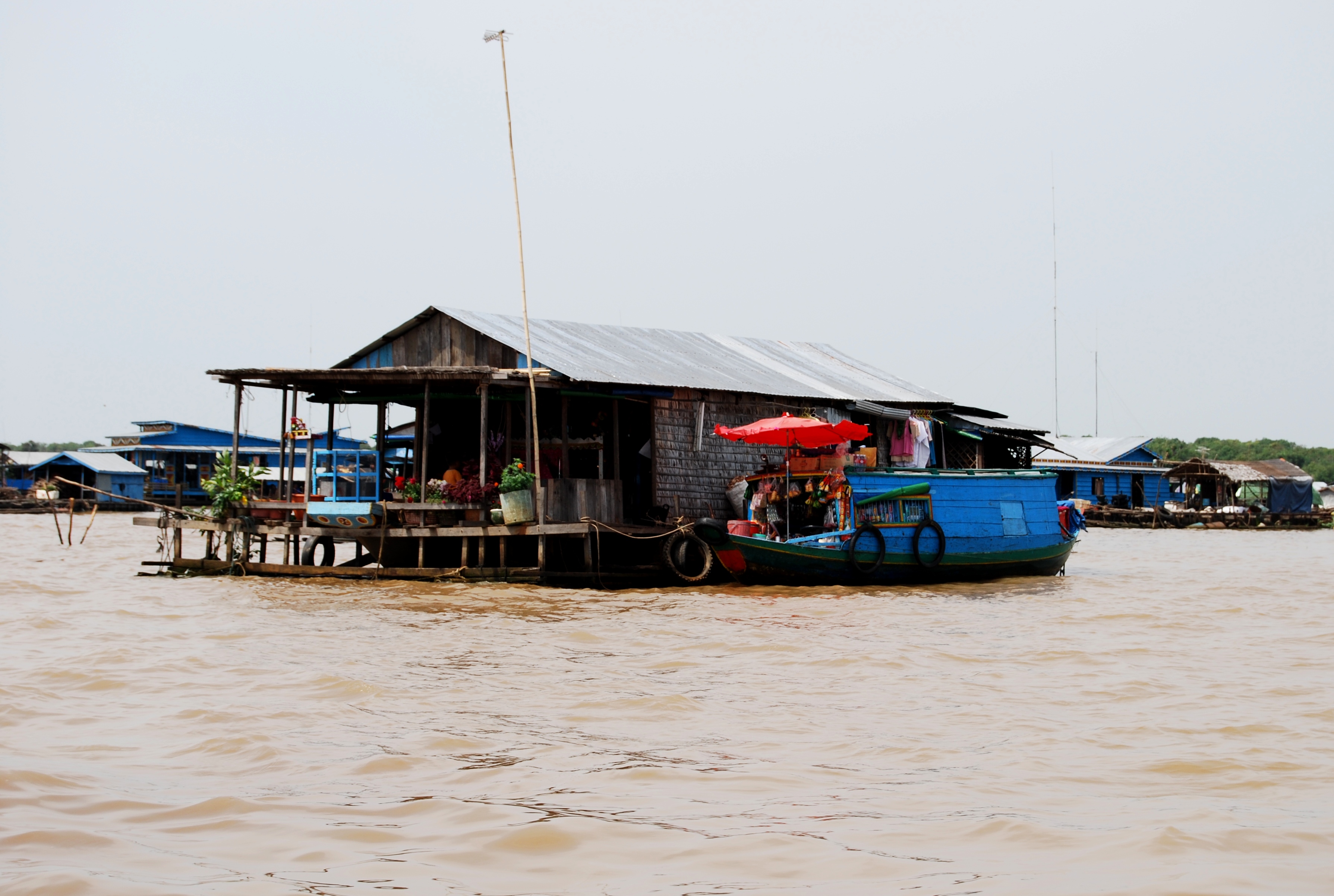 Giant water snakes and Floating Villages of Siem Reap