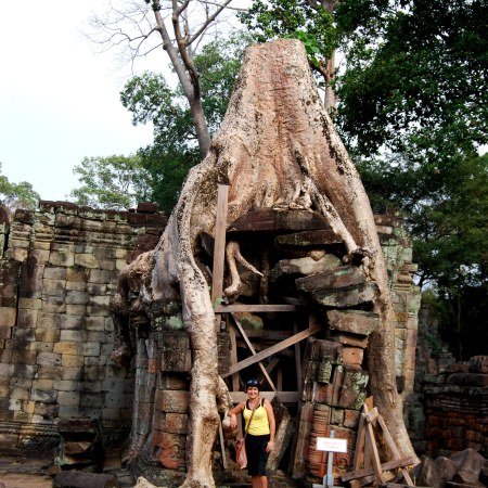 The Jungle Reclaims Beng Melea Temple