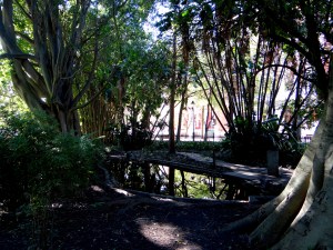 Spring in the Company's Garden