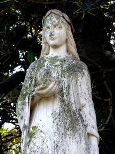 Spring in the Company's Garden