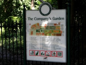 Spring in the Company's Garden