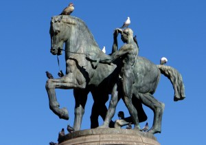 Feeding the Pigeons of Cape Town