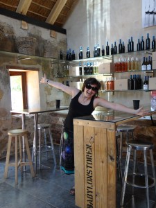 Wine tasting at Babylponstoren