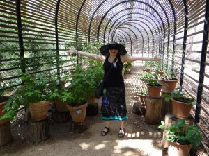 Babylponstoren puff adder walkway