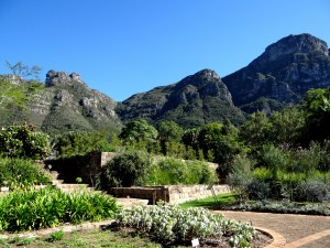 Kirstenbosch National Botanical Garden