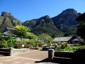 Kirstenbosch National Botanical Garden