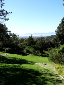 Kirstenbosch National Botanical Garden