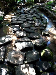 Kirstenbosch National Botanical Garden