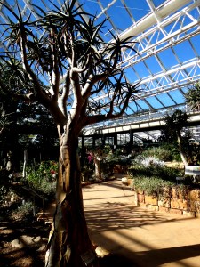 Botanical Society Conservatory