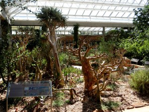 Botanical Society Conservatory