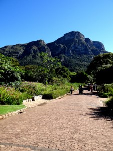 Kirstenbosch National Botanical Garden