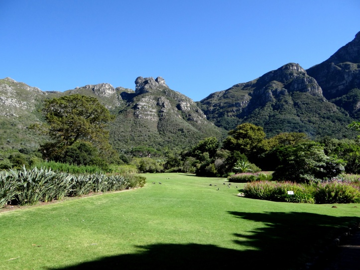 View roughly to the north from Kirstenbosch
