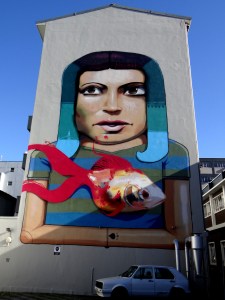 My current Muse: Western Cape, South-Africa