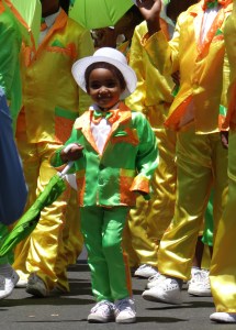 My current Muse: Western Cape, South-Africa