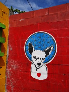 Woodstock, South-Africa, street art walking tour