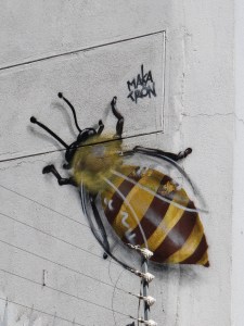 Woodstock, South-Africa, street art walking tour