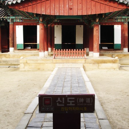 Eating Octopus in South Korea