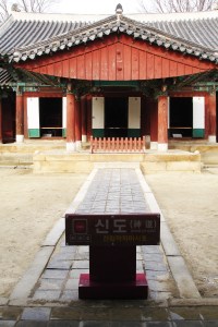 Eating Octopus in South Korea