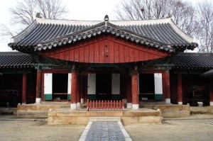 Eating Octopus in South Korea