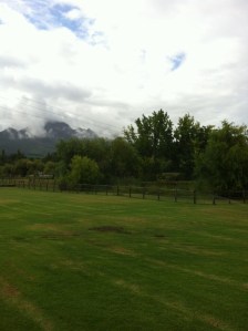 Janaline starts her ART journey