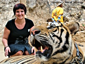 Think before visiting Tiger Temple in Thailand!
