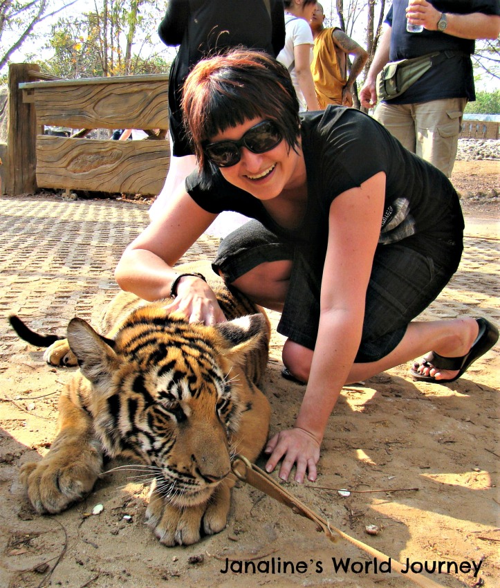 Think before visiting Tiger Temple in Thailand!