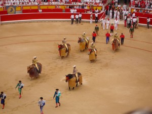 The Blood sport Bullfighting