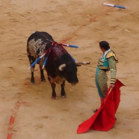 The Blood sport Bullfighting