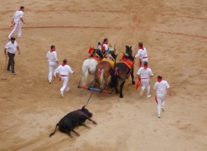 The Blood sport Bullfighting