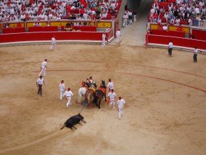 The Blood sport Bullfighting